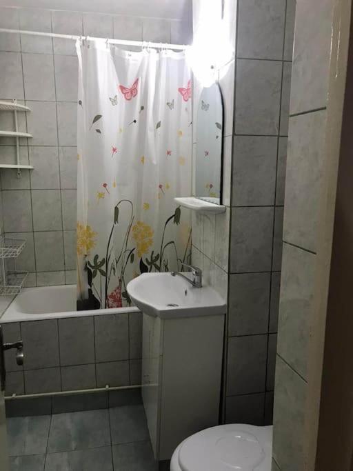 Apartament Confortabil Piteszti Zewnętrze zdjęcie