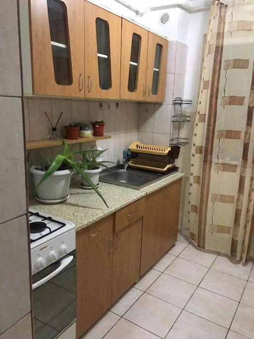 Apartament Confortabil Piteszti Zewnętrze zdjęcie